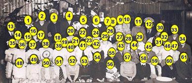 Numbering scheme